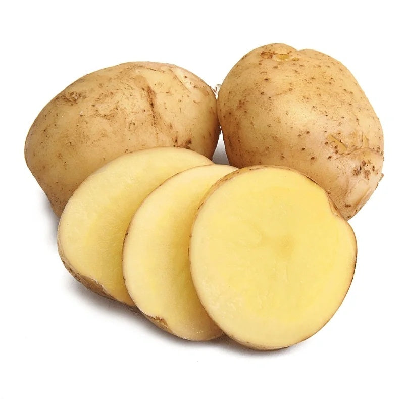 Yunshu 304 Potato