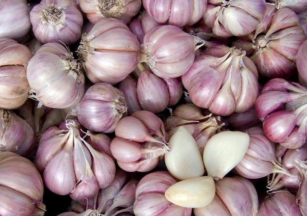 Purple-Skinned Garlic | Extraction of High Allicin and Exceptional Flavor