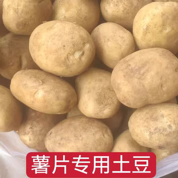 High-Specification Processing Potato "Yunshu 304" | Premium Zinc-Enriched Raw Material for Potato Chips | Direct Supply from the Source in Yunnan, China