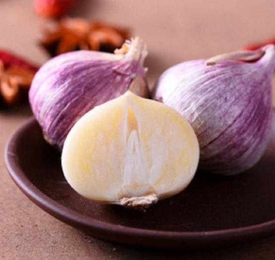 Solo Garlic | Ultimate Processing Efficiency and Premium Value