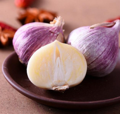 Solo Garlic | Ultimate Processing Efficiency and Premium Value
