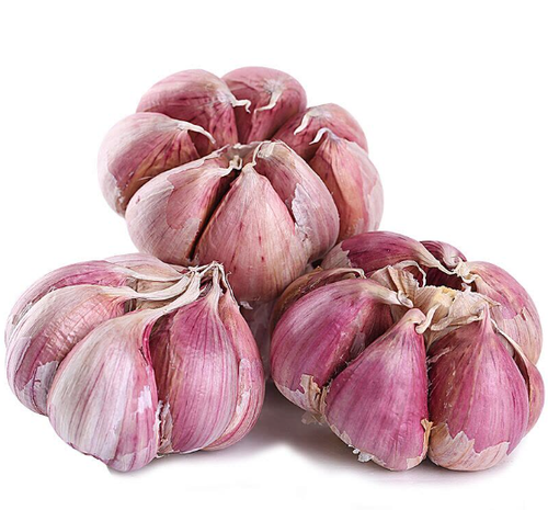 Purple-Skinned Garlic | Extraction of High Allicin and Exceptional Flavor
