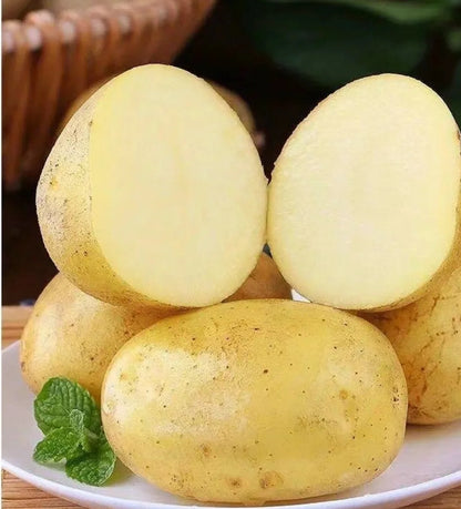 Crisp White Flesh Potatoes