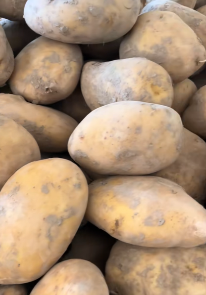 Longshu No. 10 Potato