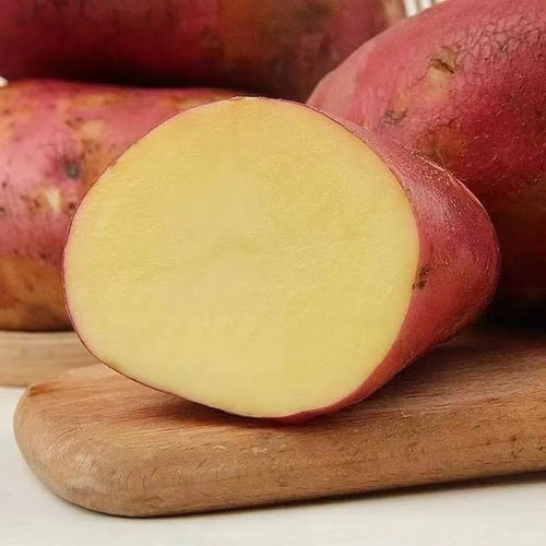 Red Skin Potatoes