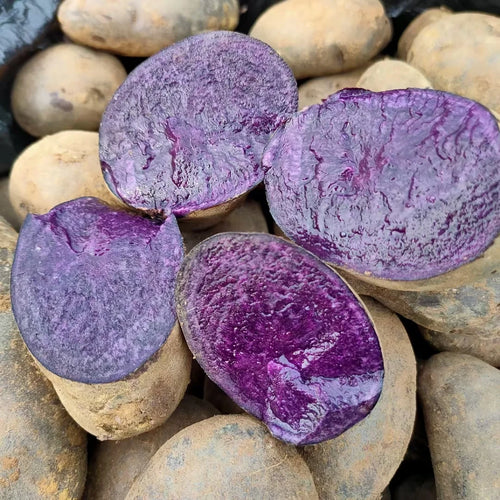 Royal Purple Anthocyanin Potatoes