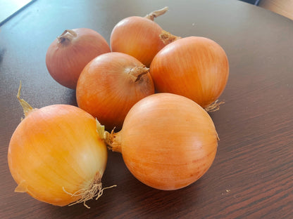 Yellow Onions | Gold-Standard Quality and the Premier Choice for All Cooking Scenarios