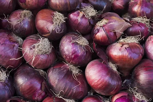 Red Onions | The Perfect Balance of Vibrant Color and Crisp Texture