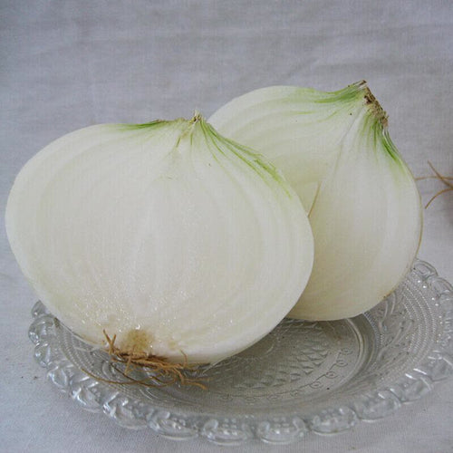 White Onions | Exclusively Sourced for Pure Whiteness and Mild Flavor